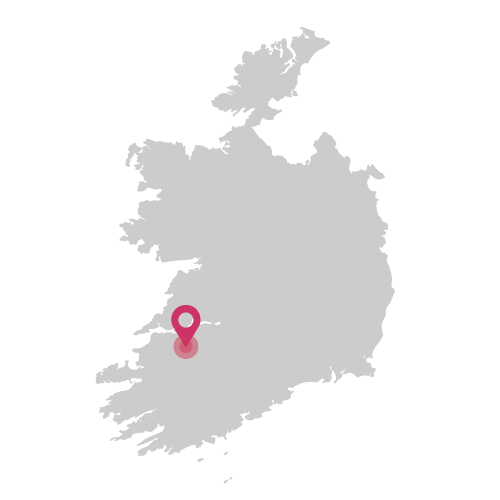 map of Limerick Ireland